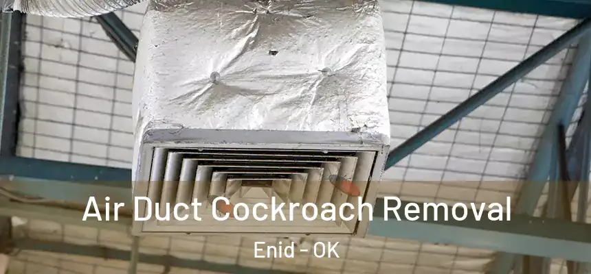  Air Duct Cockroach Removal Enid - OK
