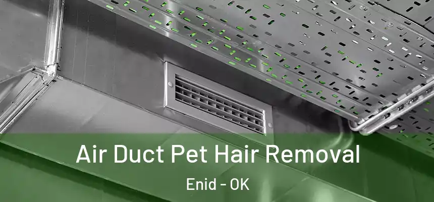  Air Duct Pet Hair Removal Enid - OK
