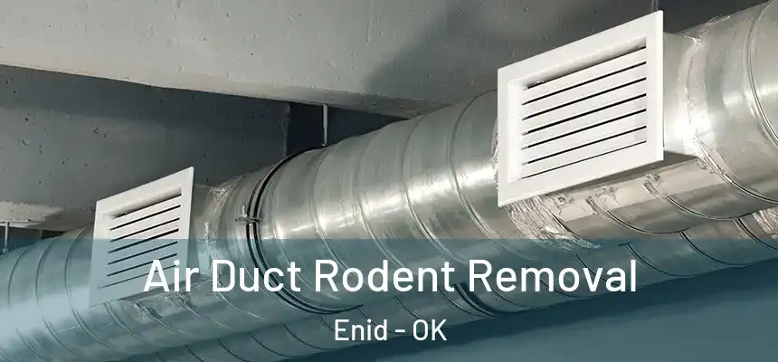  Air Duct Rodent Removal Enid - OK