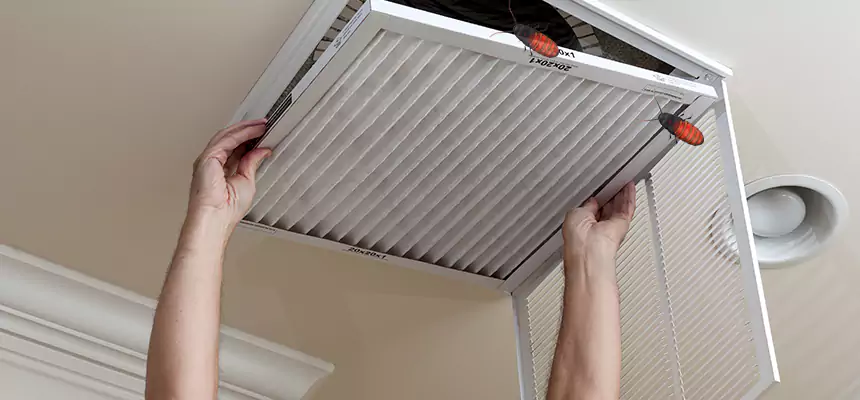 Preventive Cockroach-Proofing for Ducts in Enid