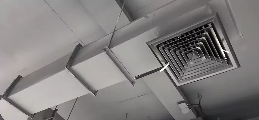 Our Pest Removal From Ducts Services in Enid, OK