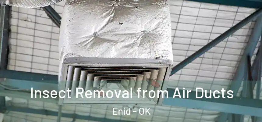  Insect Removal from Air Ducts Enid - OK
