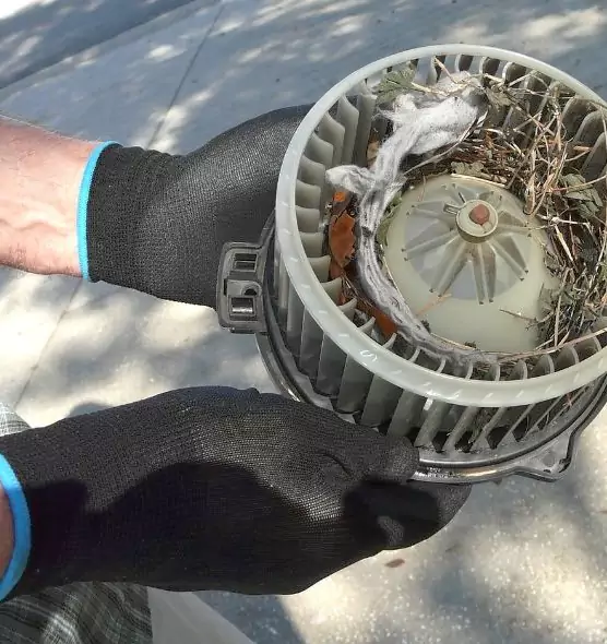 About Air Duct Mice Removal in Enid, OK