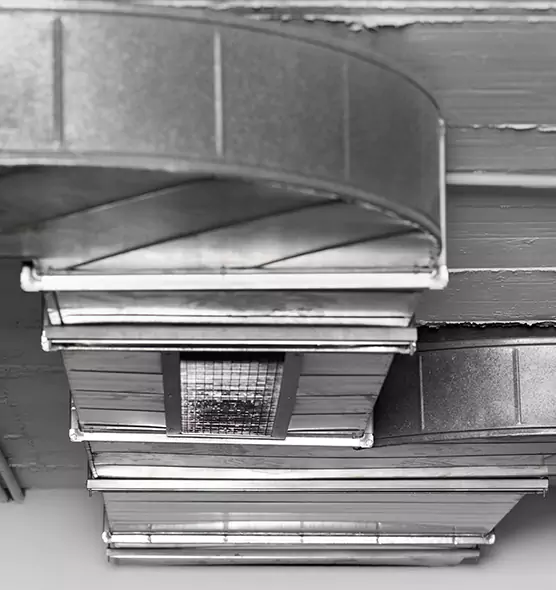 Professional Air Duct Pest Removal in Enid, OK